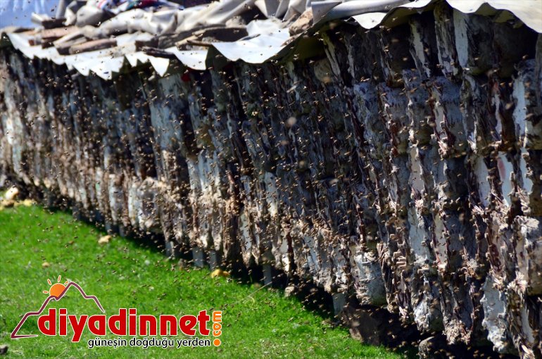 balı arıcılar - BİTLİS kovan hazırlığına kara yayla için başladı Hizanlı 15