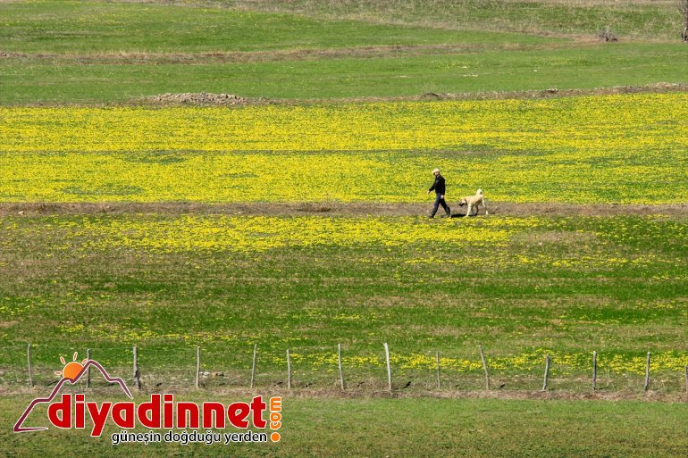 Dağları arasındaki Ovacık