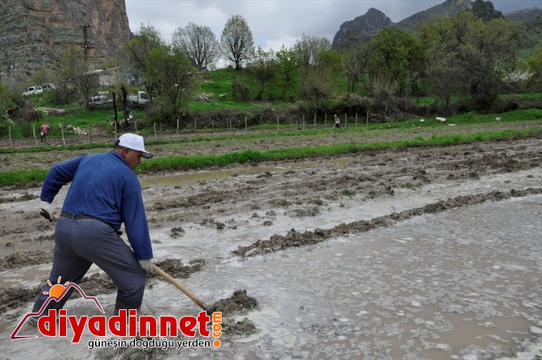 usulüyle imece Hakkari