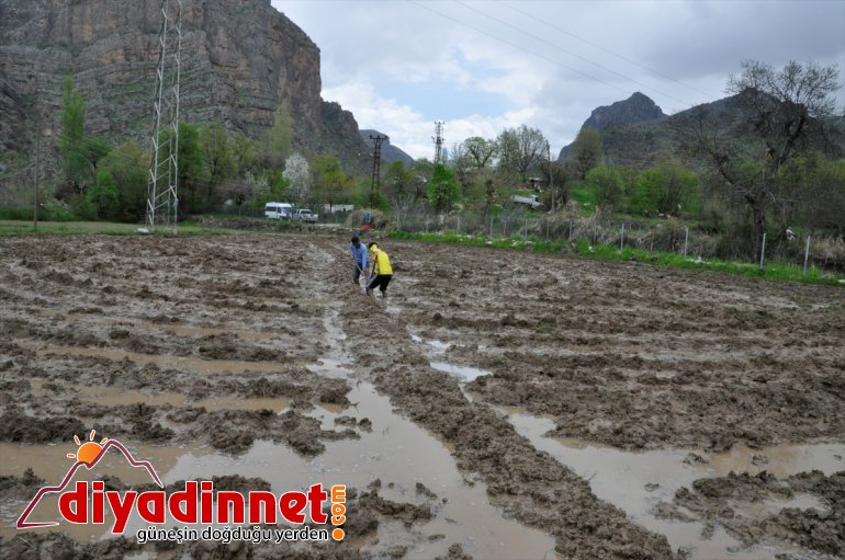 imece usulüyle ekiyorlar çeltik Hakkari