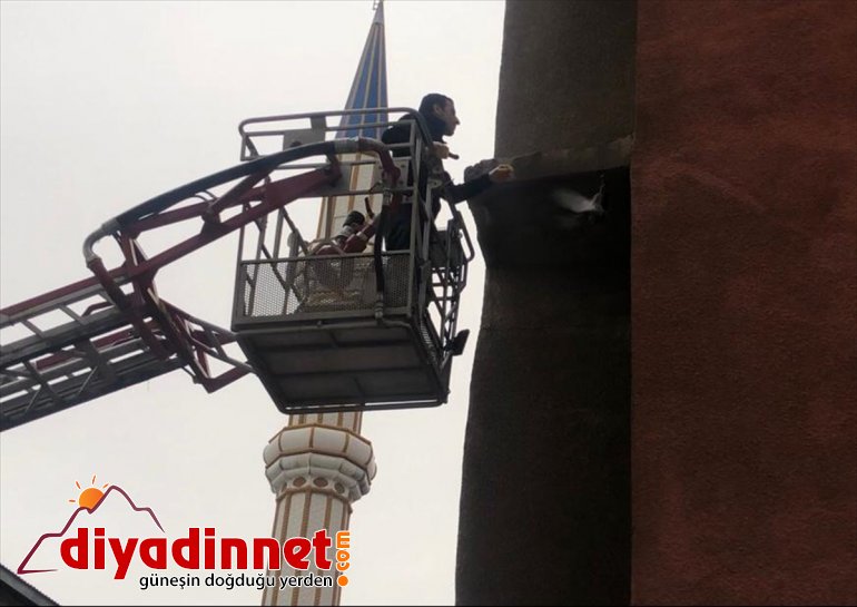 Tele ekipleri AĞRI itfaiye takılan kurtardı güvercini - 4