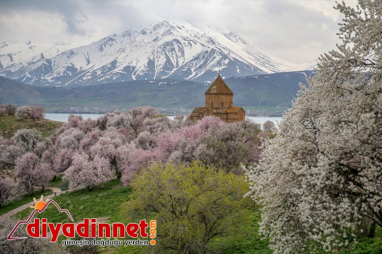 Akdamar bahar güzelliği kaldı VAN - Adası