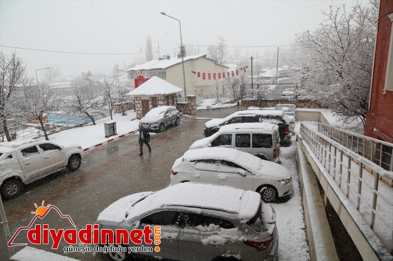 Van'da kar etkili oldu