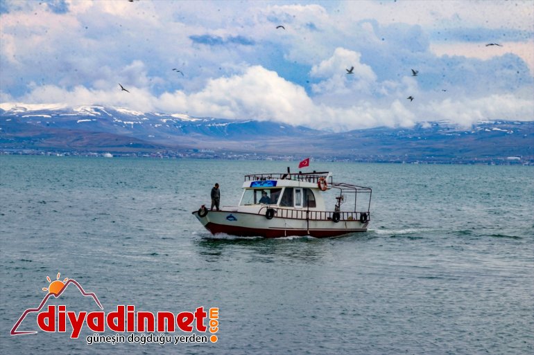 havadan karadan - süresince kefali,  İnci ve av korunacak yasağı VAN 5