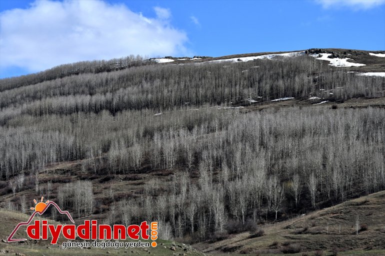 bir bahar da kar, bir Kars