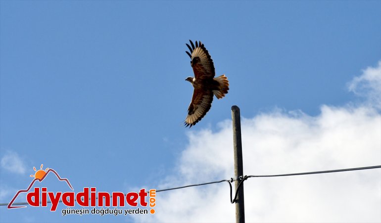 da yanı bir yanı Kars