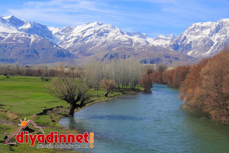 ve Munzur kelebek Vadisi renklendi tırtıllarla 3