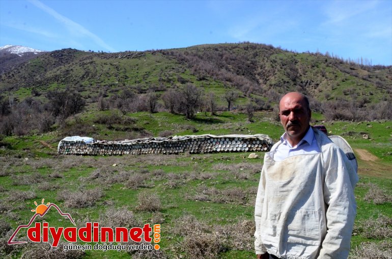 için kovan arıcılar - başladı Hizanlı BİTLİS hazırlığına kara balı yayla 9