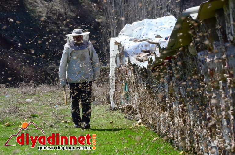 BİTLİS Hizanlı arıcılar - yayla hazırlığına başladı balı kovan için kara 3