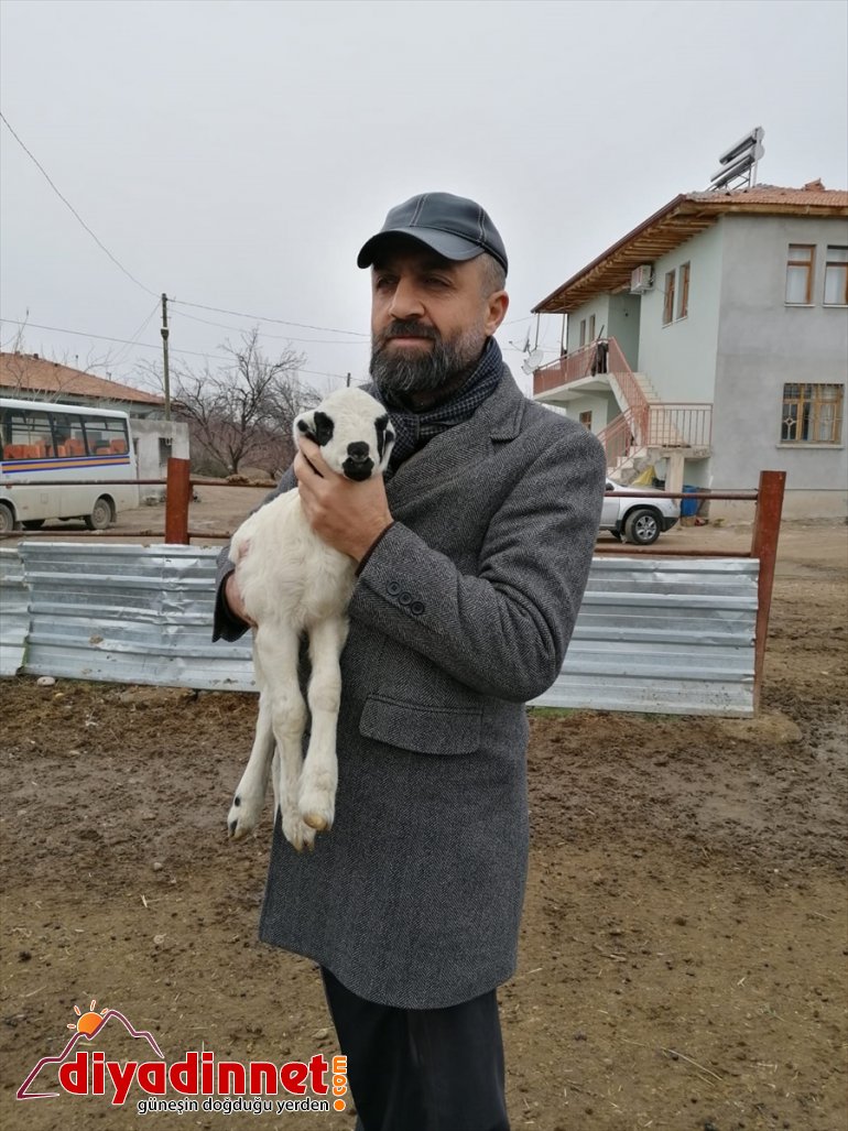 Malatya'da 455 yetiştiriciye sürü büyütme desteği verilecek