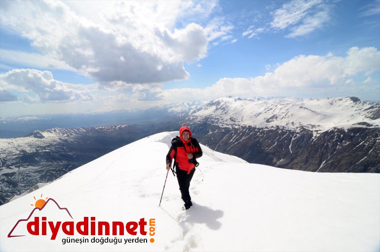 - Mercan kara Dağları