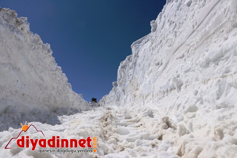 nisanda - kaplanları mesaide AĞRI yoğun Kar da 3