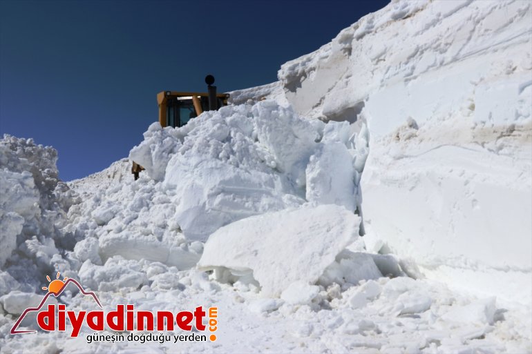 AĞRI - mesaide Kar nisanda da kaplanları yoğun 5