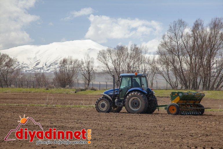 başladı  Ahlatlı çiftçilerin bahar mesaisi BİTLİS - 3