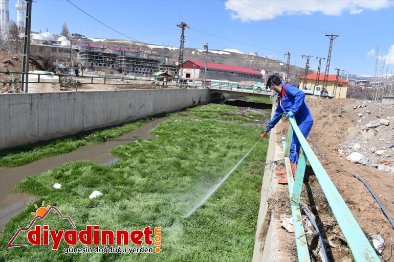 Tatvan Belediyesi vektörle mücadele çalışması başlattı