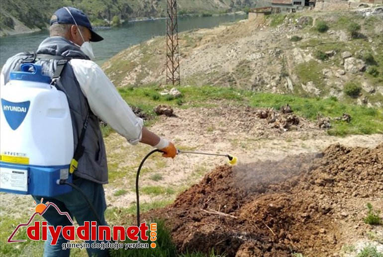 çalışması haşere ile Keban Belediyesinden mücadele 5