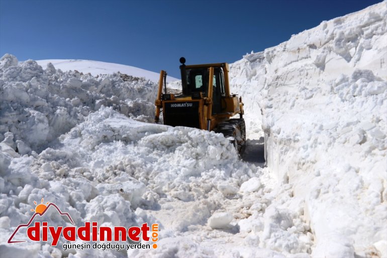 Kar AĞRI kaplanları da mesaide - nisanda yoğun 4