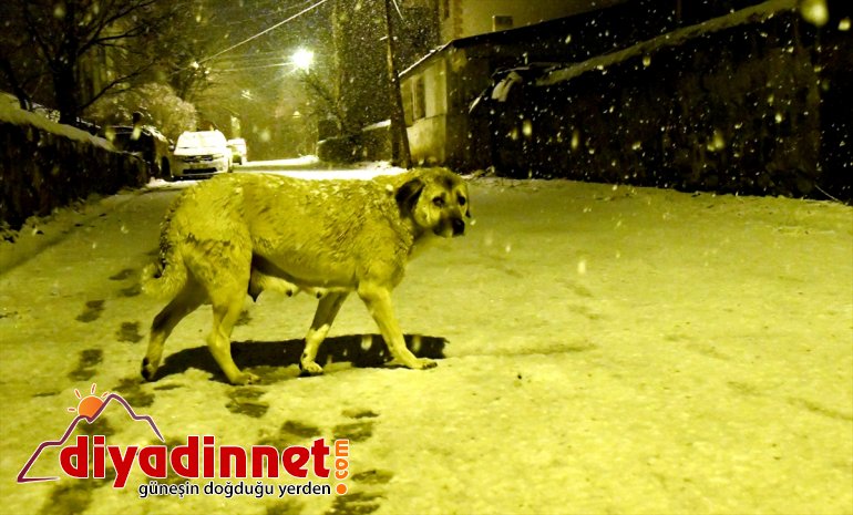 KARS - Kar oldu yağışı etkili 5