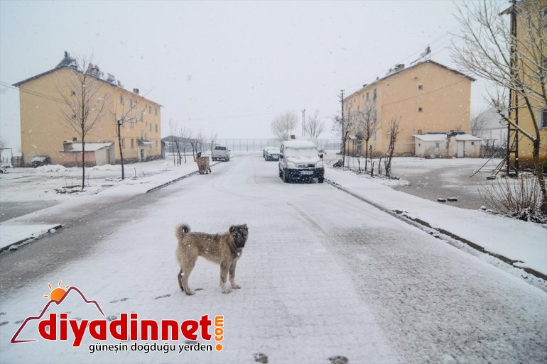 Ovacık kar yağışıyla beyaza büründü