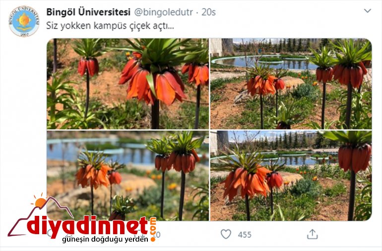 yerleşkenin paylaştı Üniversitesi için gidermek fotoğraflarını Bingöl özlemini öğrencilerin 2