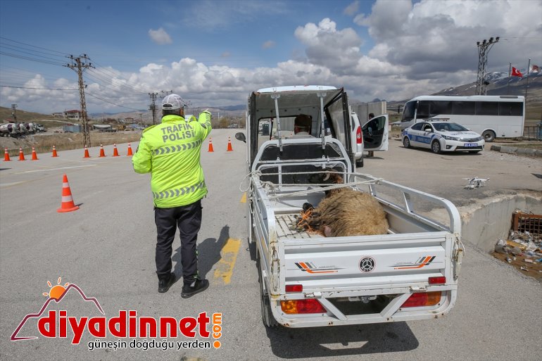 polisten Çobanın - fedakarlığa destek kuzusu için ve koyun gösterdiği VAN 7