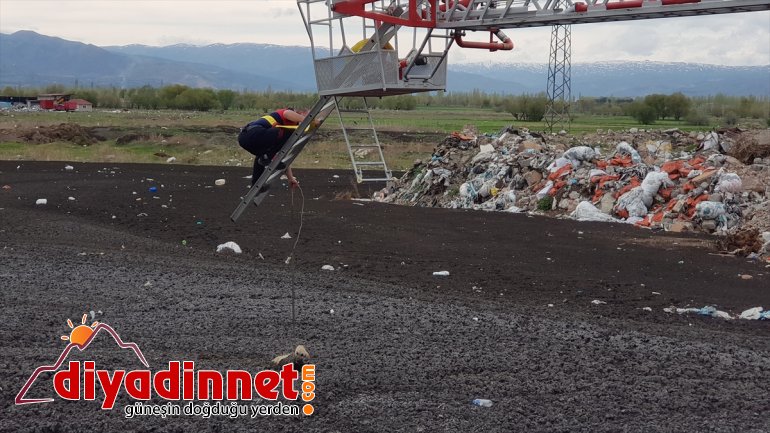 from rescued in cesspool Turkey eastern Puppy 3