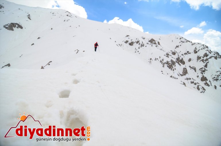 Mercan TUNCELİ 2 4 yaptı - rağmen doğasever metre kara Dağları