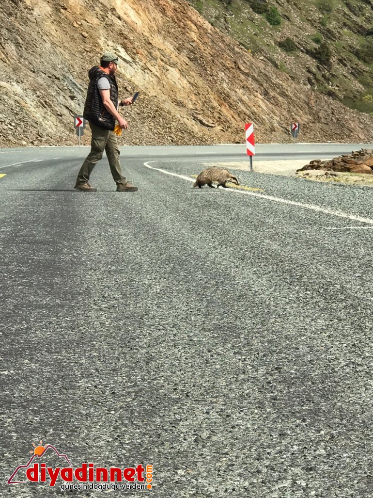 yaralı sahip çıktı jandarma bulunan Bingöl