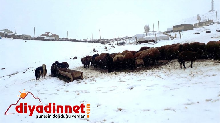 blankets Snow in during areas spring Turkey some season NE 9