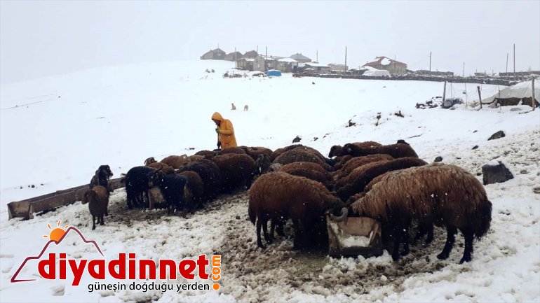 in during NE Snow season Turkey spring blankets areas some 8