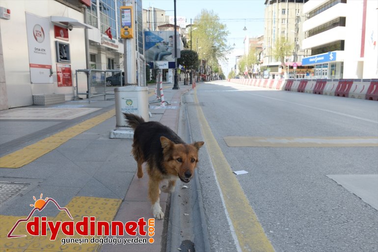 ardından Malatya çıkma ve  Kahramanmaraş