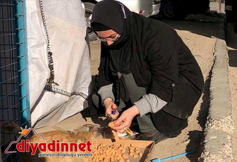  Belediyesin sokak mama Keban desteği hayvanlarına 3