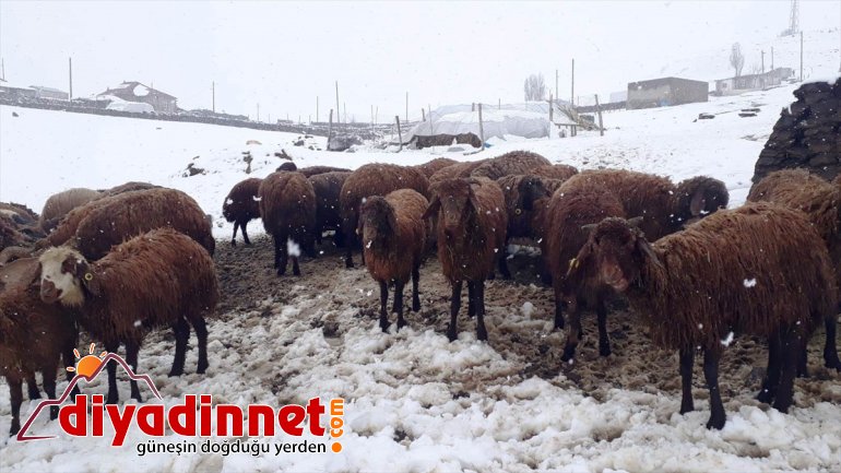 Snow blankets in during some spring areas NE season Turkey 5