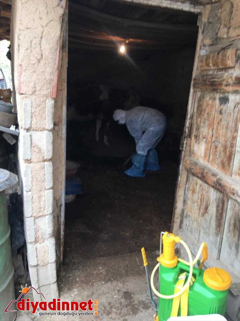 hayvanlarına Vefa Destek Karantina altındaki ailenin ekibi Sosyal baktı 3