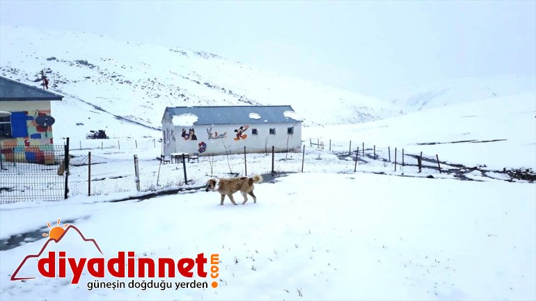 Snow NE spring areas during some Turkey in season blankets 2