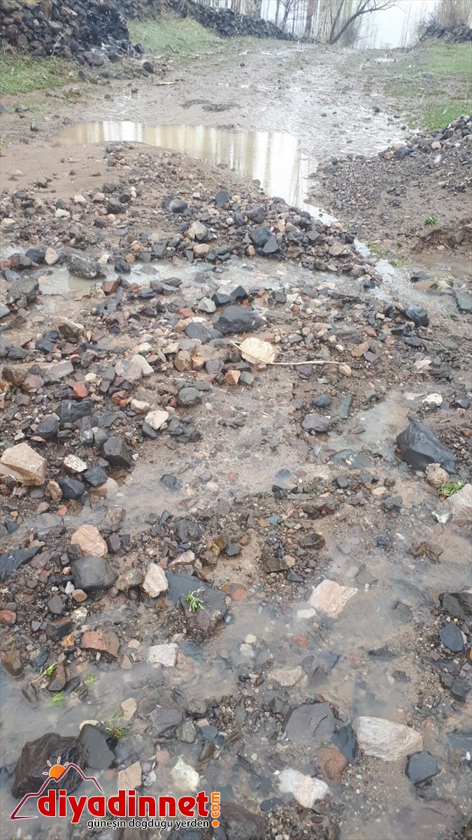 Kağızman'da sel suları ekili tarım arazilerine zarar verdi