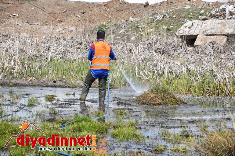 başlattı mücadele vektörle çalışması Tatvan Belediyesi 6