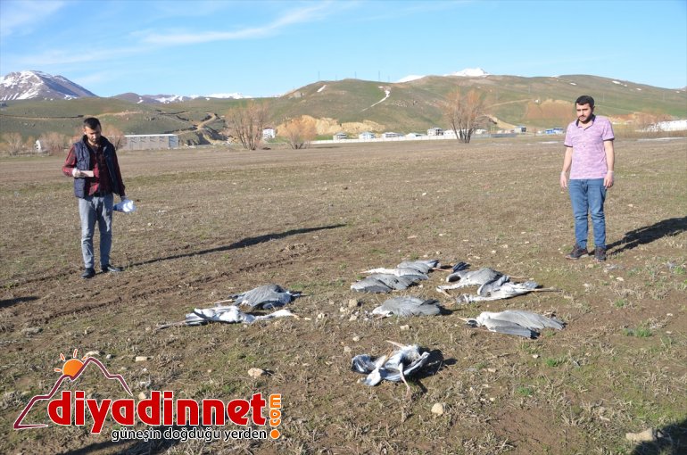 sayıda koruma Hakkari