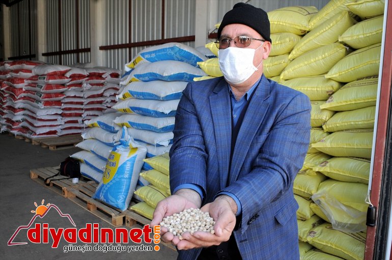 tohum - hibeli dağıtımına yüzde başlandı Çiftçiye 75 BİNGÖL 3