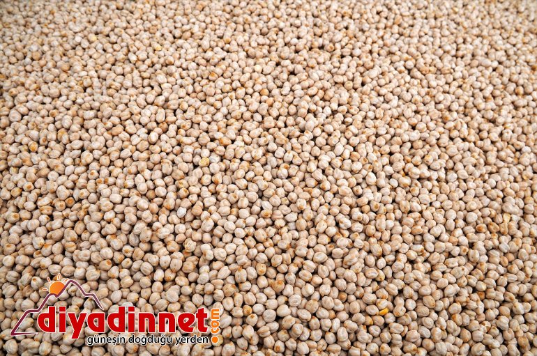 hibeyle BİNGÖL tohumlar - toprakla yüzde Çiftçilere buluştu verilen 75 4