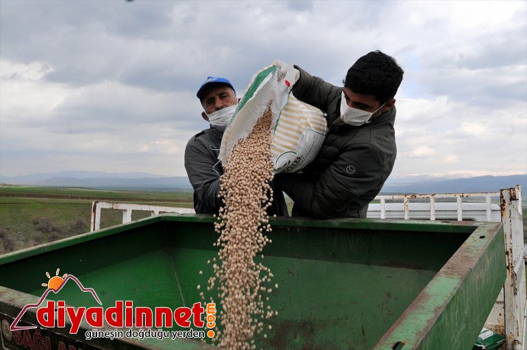 75 yüzde Çiftçilere BİNGÖL toprakla verilen tohumlar buluştu hibeyle - 6