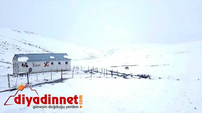 during some Turkey areas season NE in spring blankets Snow 1