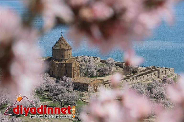 Akdamar badem - büyülüyor  çiçek VAN açan ağaçlarıyla Adası 14