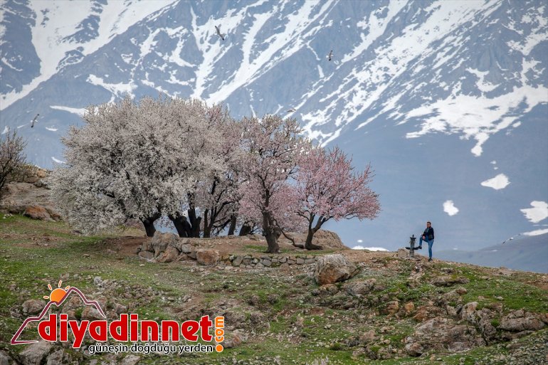 kaldı ziyaretçisiz VAN güzelliği Akdamar Adası