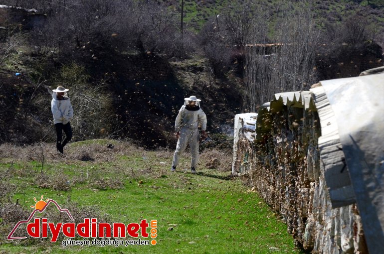 Hizanlı BİTLİS - kovan arıcılar balı için kara başladı yayla hazırlığına 10