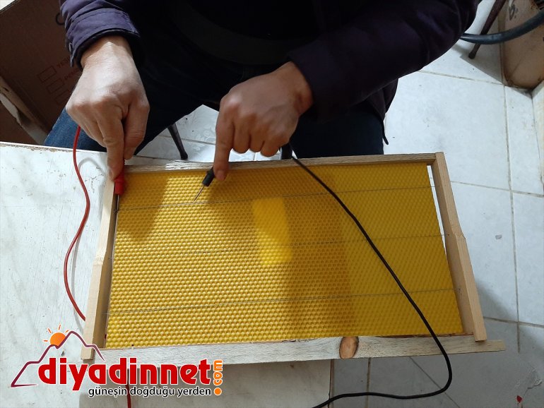 üreticileri ARDAHAN yeni Kafkas arısı - sezona hazırlanıyor 4