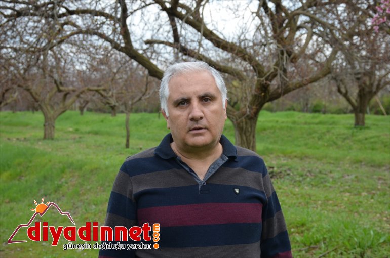 hastalığı uyarısı Kayısı ve yıkanması monilya polen - üreticilerine MALATYA 3