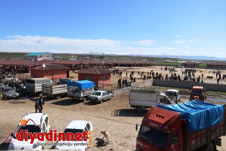 Kovid-19 kapsamında kapatılan Ağrı Hayvan Borsası'nda yeniden ticaret heyecanı