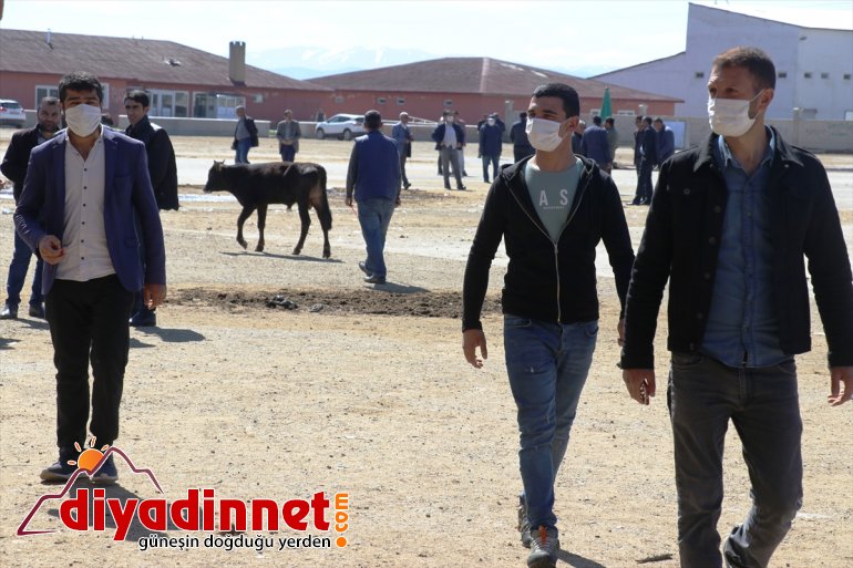 ağrı hayvan borsası4