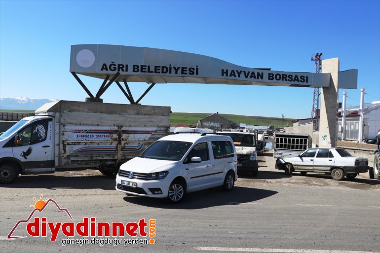 ağrı hayvan borsası9